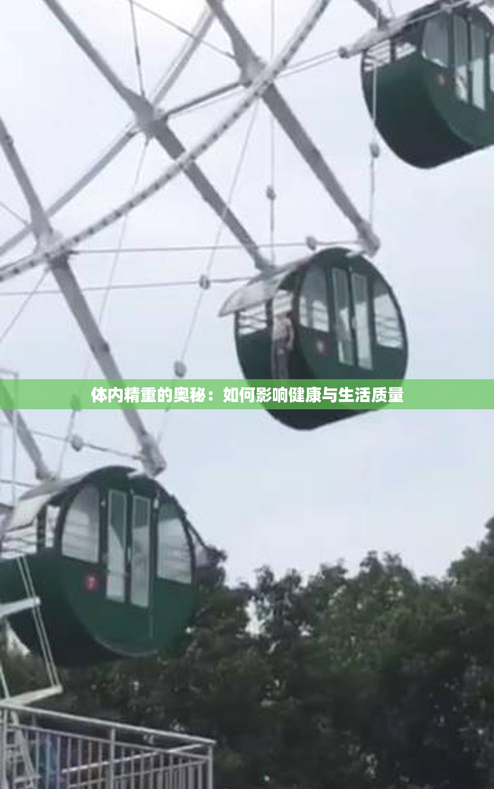 体内精重的奥秘：如何影响健康与生活质量