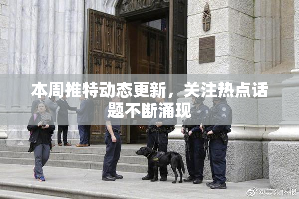 本周推特动态更新，关注热点话题不断涌现