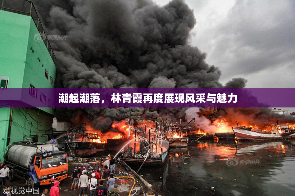 潮起潮落，林青霞再度展现风采与魅力