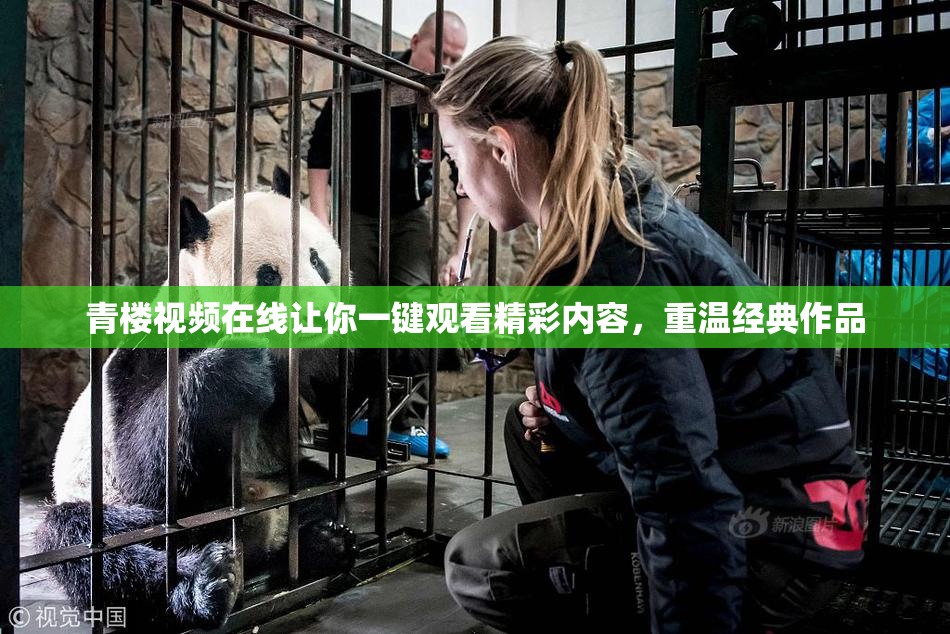 青楼视频在线让你一键观看精彩内容，重温经典作品
