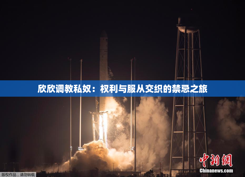 欣欣调教私奴：权利与服从交织的禁忌之旅