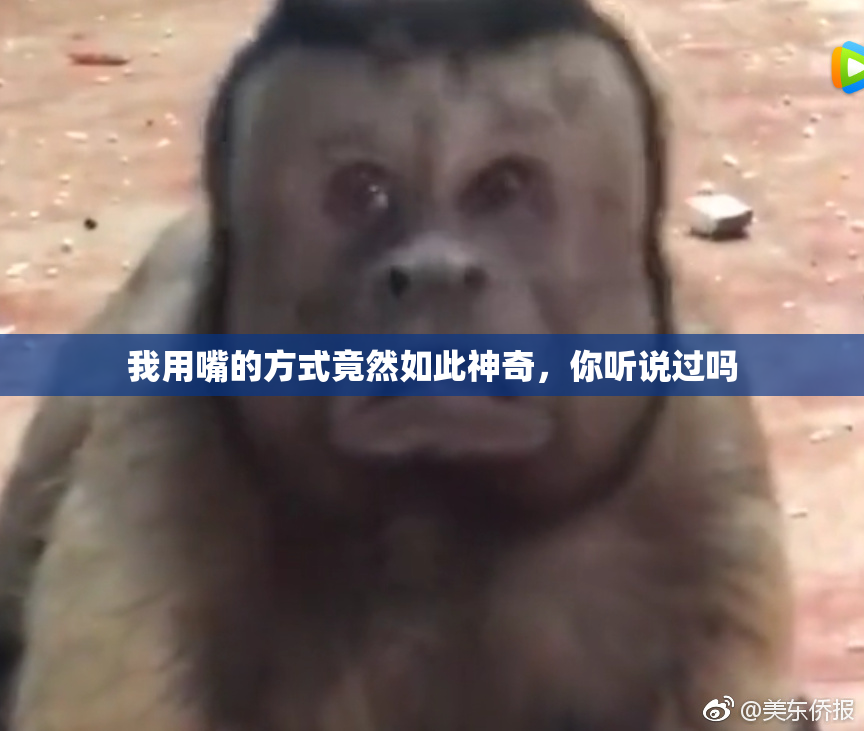 我用嘴的方式竟然如此神奇，你听说过吗