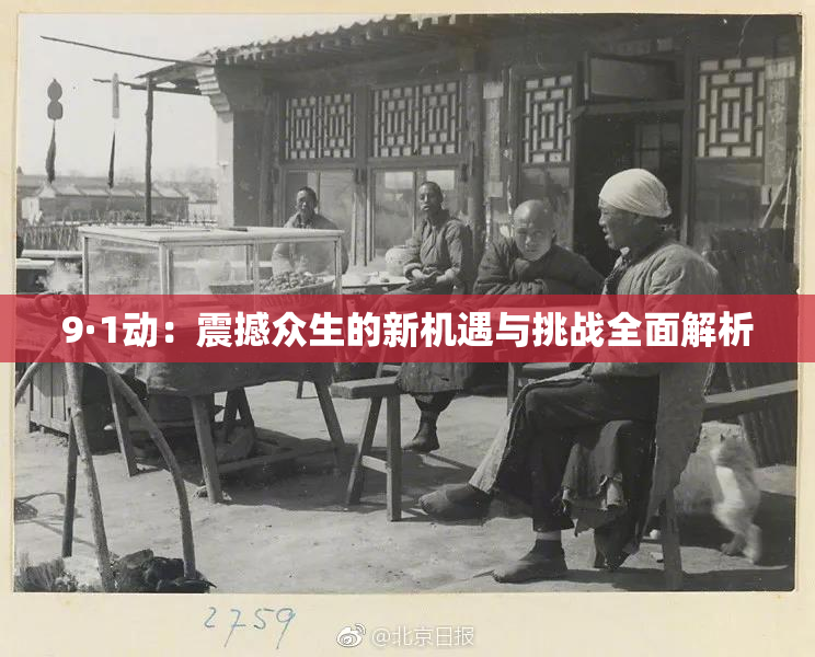 9·1动：震撼众生的新机遇与挑战全面解析