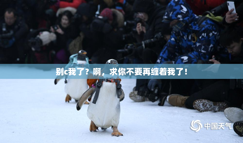别c我了？啊，求你不要再缠着我了！