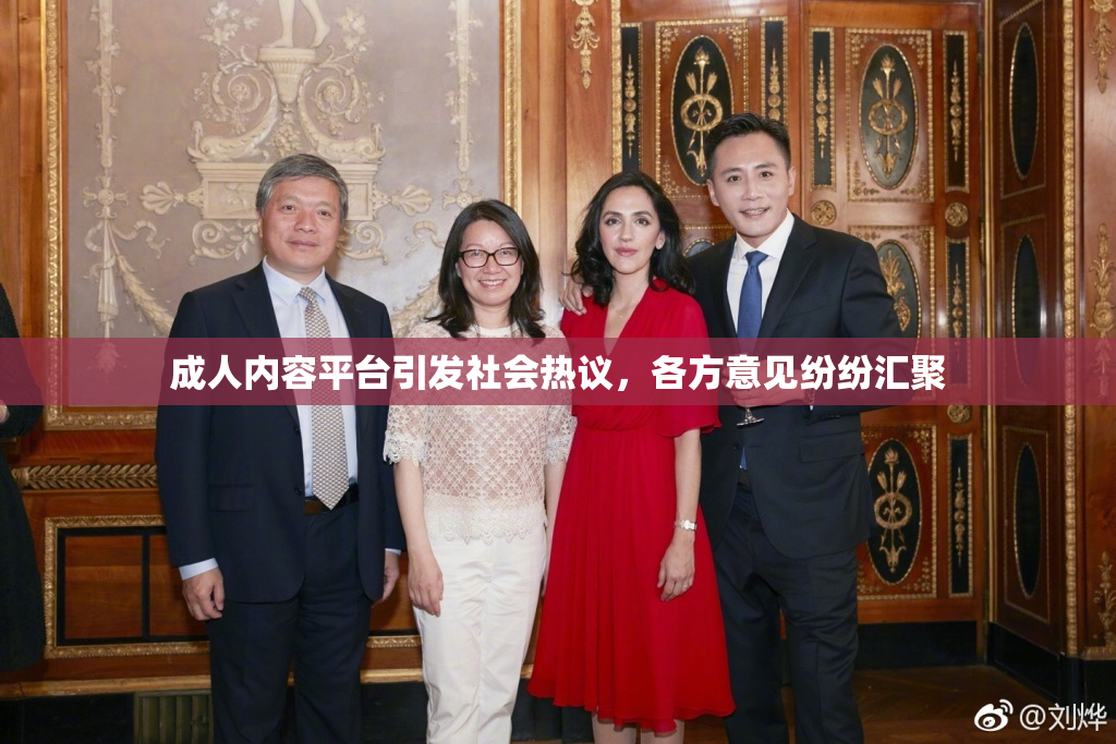 成人内容平台引发社会热议，各方意见纷纷汇聚