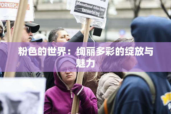 粉色的世界：绚丽多彩的绽放与魅力