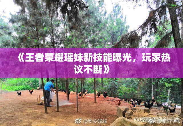 《王者荣耀瑶妹新技能曝光，玩家热议不断》