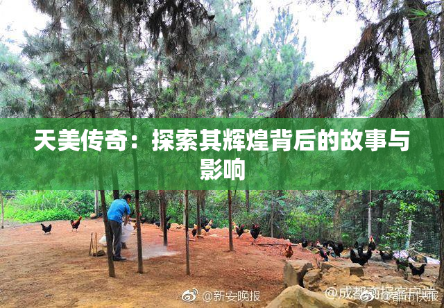 天美传奇：探索其辉煌背后的故事与影响