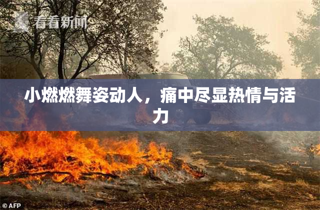 小燃燃舞姿动人，痛中尽显热情与活力