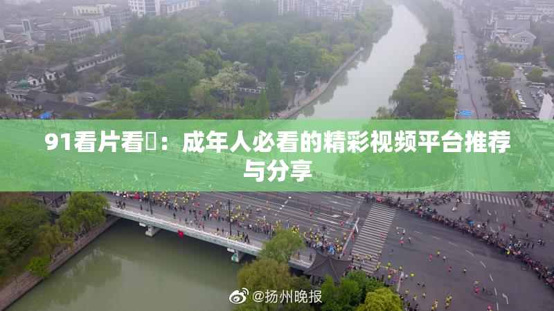 91看片看婬：成年人必看的精彩视频平台推荐与分享