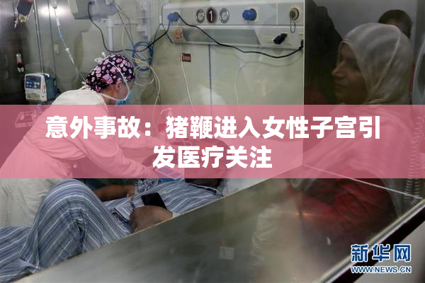 意外事故：猪鞭进入女性子宫引发医疗关注