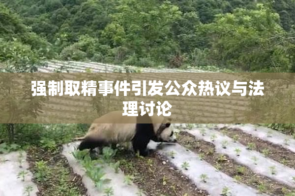 强制取精事件引发公众热议与法理讨论