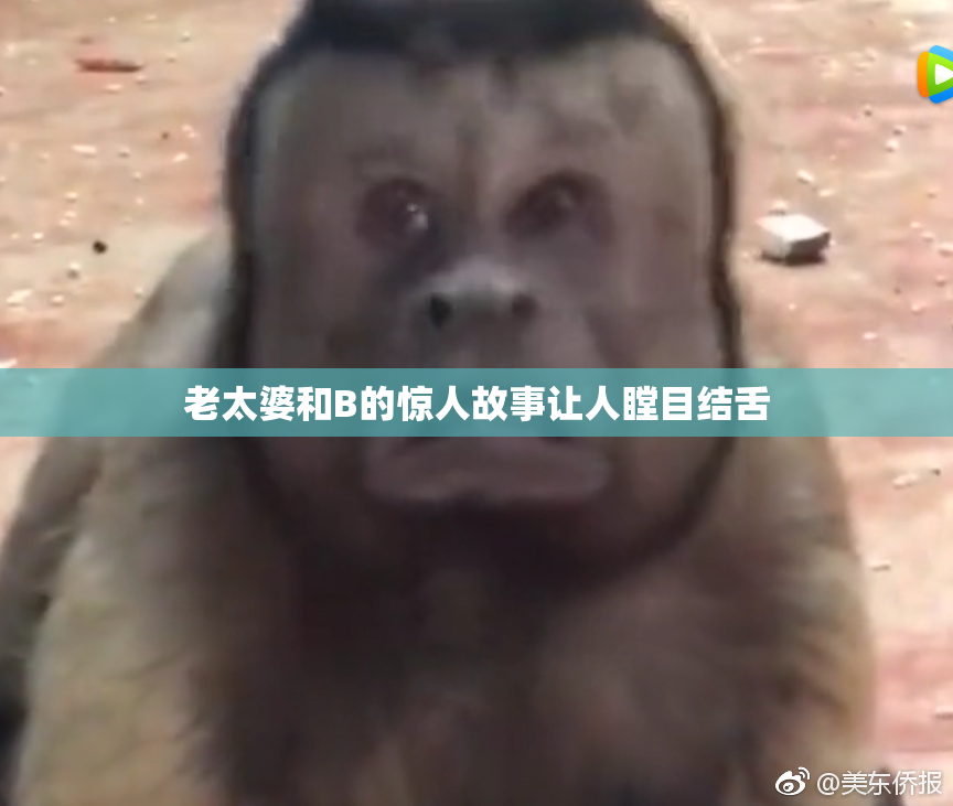 老太婆和B的惊人故事让人瞠目结舌