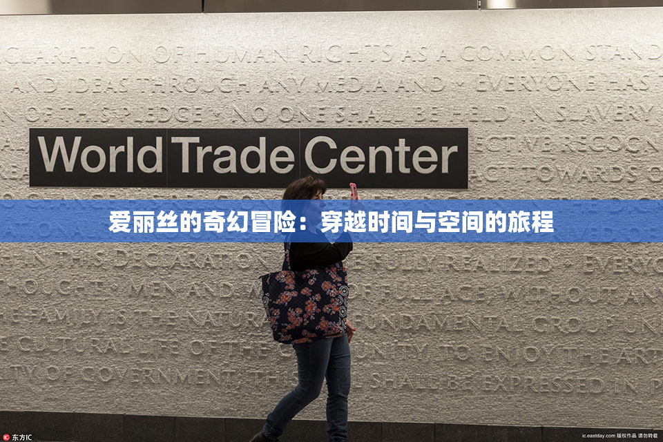 爱丽丝的奇幻冒险：穿越时间与空间的旅程