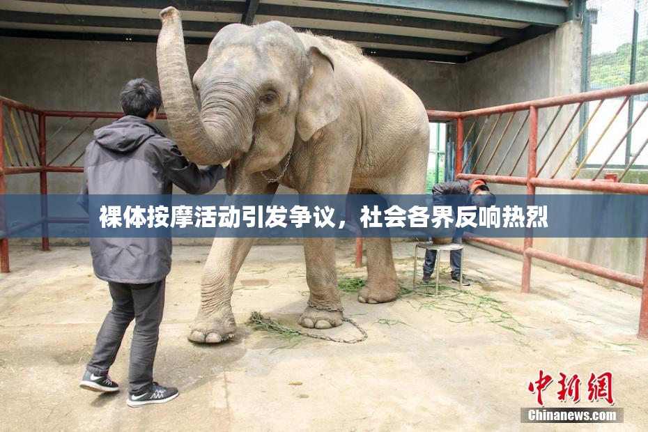 裸体按摩活动引发争议，社会各界反响热烈