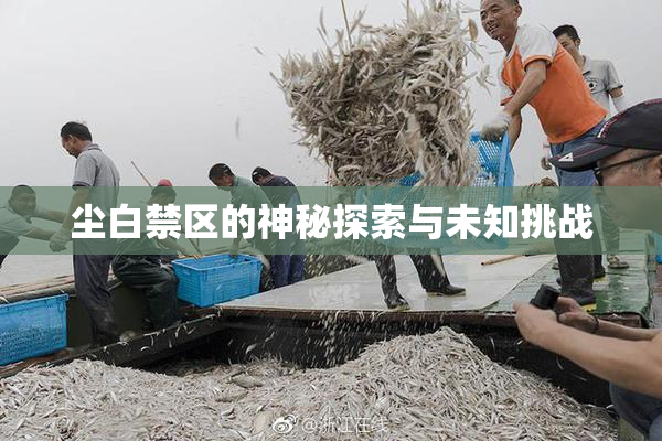尘白禁区的神秘探索与未知挑战
