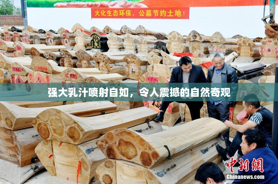 强大乳汁喷射自如，令人震撼的自然奇观