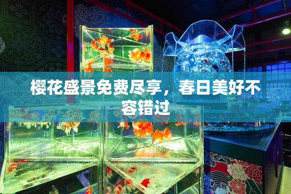 樱花盛景免费尽享，春日美好不容错过