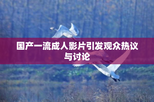 国产一流成人影片引发观众热议与讨论