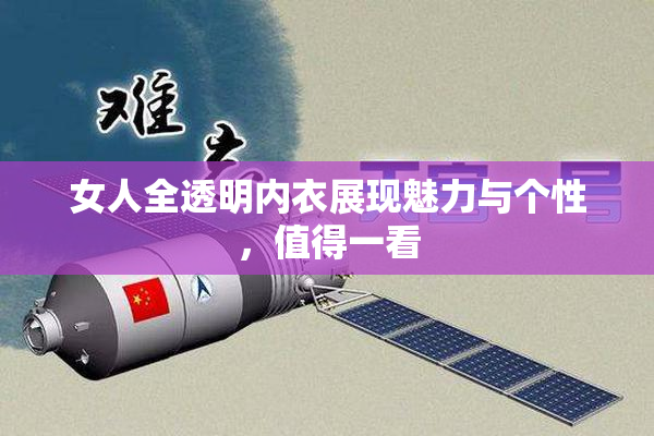 女人全透明内衣展现魅力与个性，值得一看