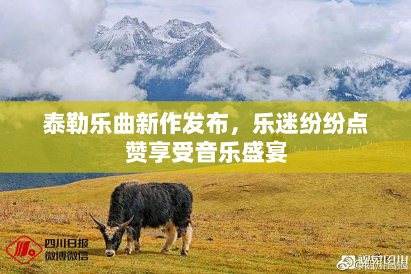 泰勒乐曲新作发布，乐迷纷纷点赞享受音乐盛宴