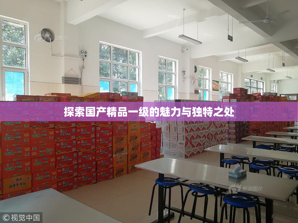 探索国产精品一级的魅力与独特之处