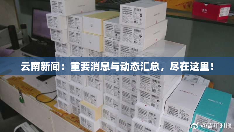 云南新闻：重要消息与动态汇总，尽在这里！