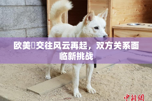 欧美巜交往风云再起，双方关系面临新挑战