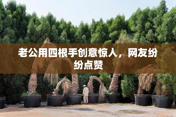 老公用四根手创意惊人，网友纷纷点赞