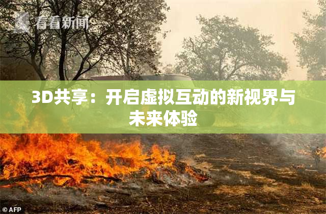 3D共享：开启虚拟互动的新视界与未来体验
