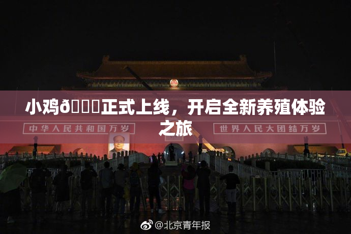小鸡🐔正式上线，开启全新养殖体验之旅