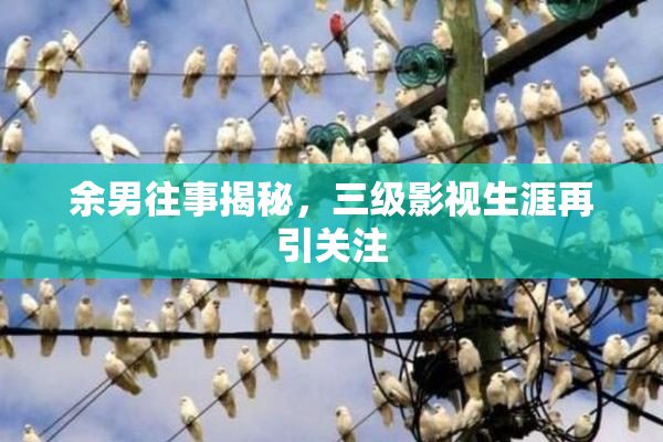 余男往事揭秘，三级影视生涯再引关注
