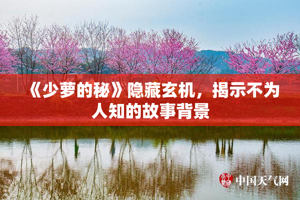 《少萝的秘》隐藏玄机，揭示不为人知的故事背景