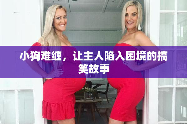 小狗难缠，让主人陷入困境的搞笑故事