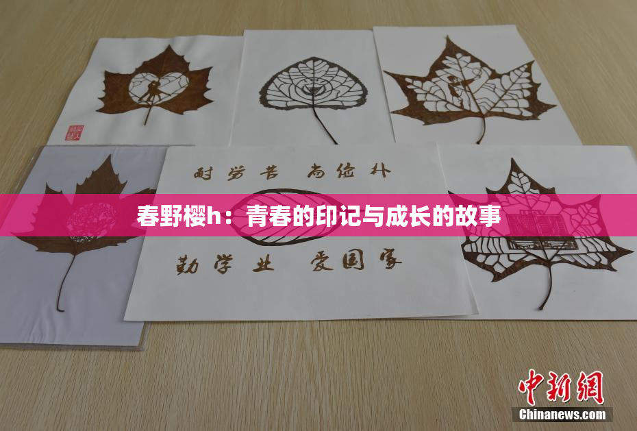 春野樱h：青春的印记与成长的故事