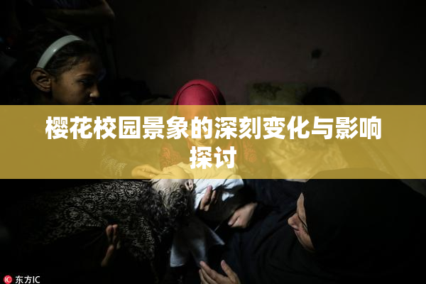 樱花校园景象的深刻变化与影响探讨
