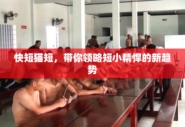 快短猫短，带你领略短小精悍的新趋势