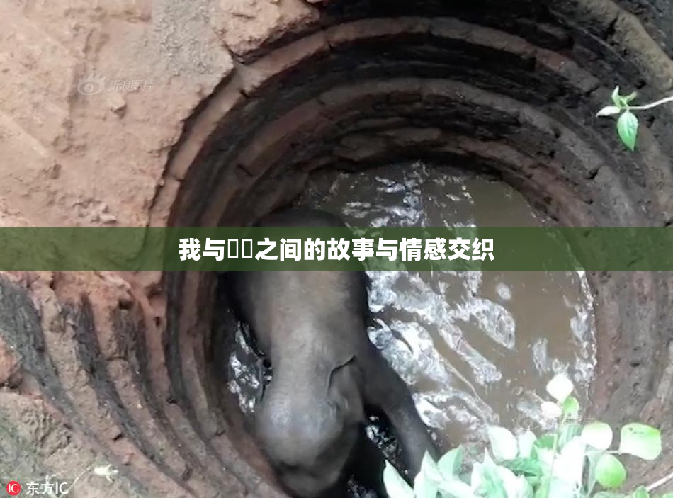 我与妺妺之间的故事与情感交织