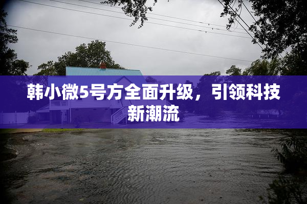 韩小微5号方全面升级，引领科技新潮流