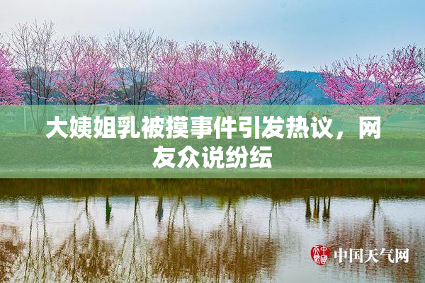大姨姐乳被摸事件引发热议，网友众说纷纭