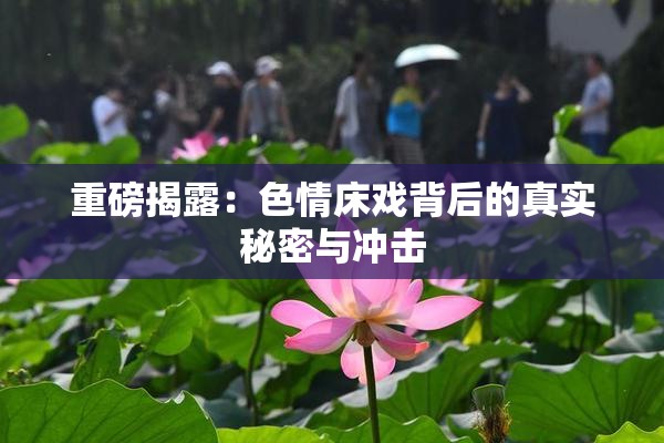 重磅揭露：色情床戏背后的真实秘密与冲击
