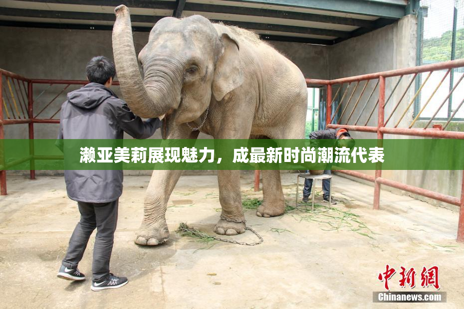 濑亚美莉展现魅力，成最新时尚潮流代表