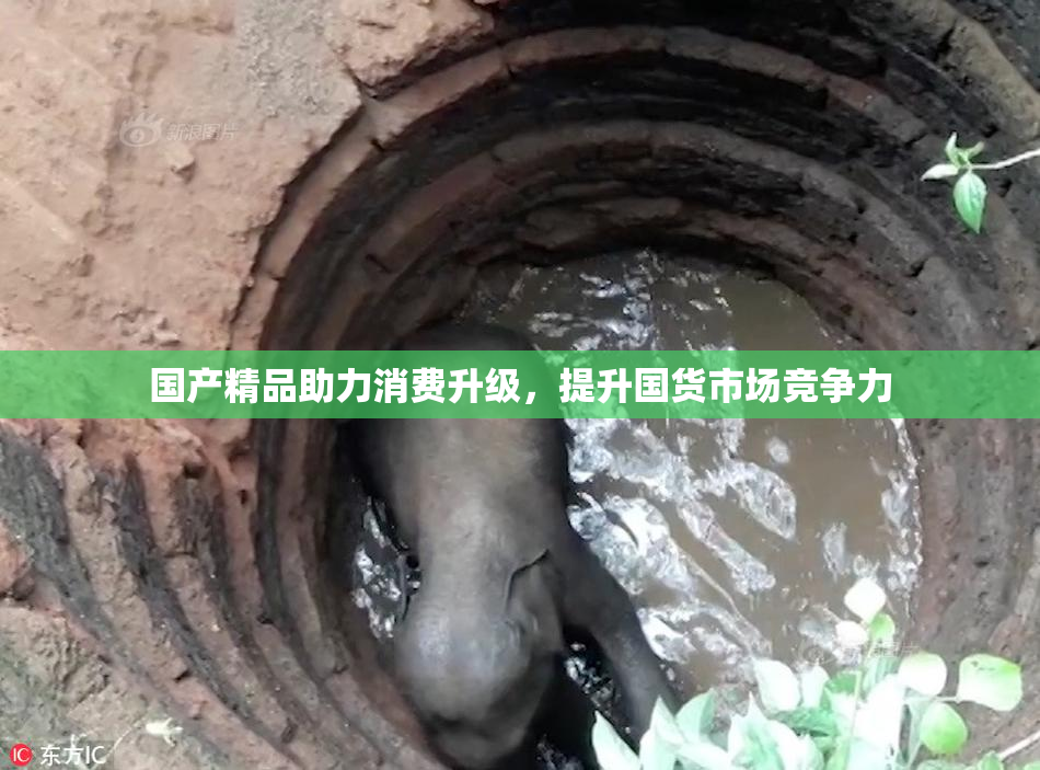 国产精品助力消费升级，提升国货市场竞争力