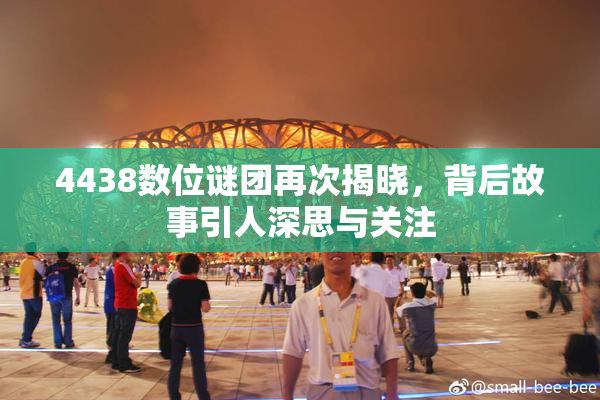 4438数位谜团再次揭晓，背后故事引人深思与关注