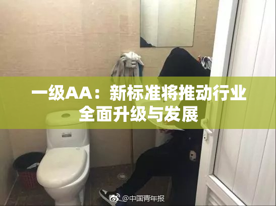 一级AA：新标准将推动行业全面升级与发展