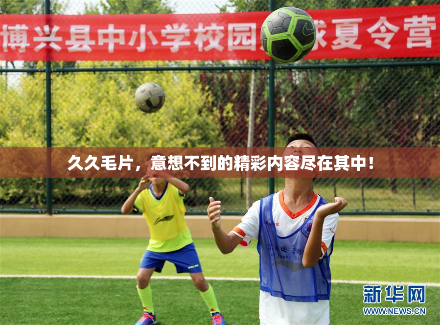 久久毛片，意想不到的精彩内容尽在其中！