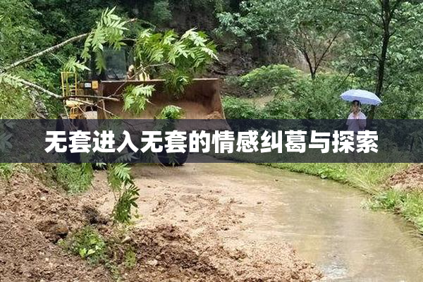 无套进入无套的情感纠葛与探索