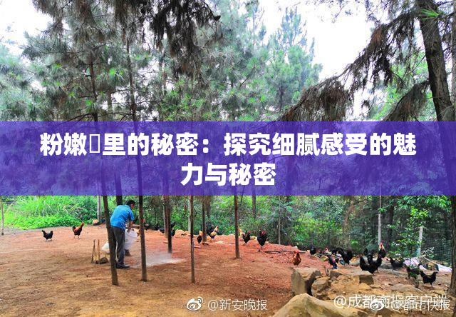粉嫩泬里的秘密：探究细腻感受的魅力与秘密