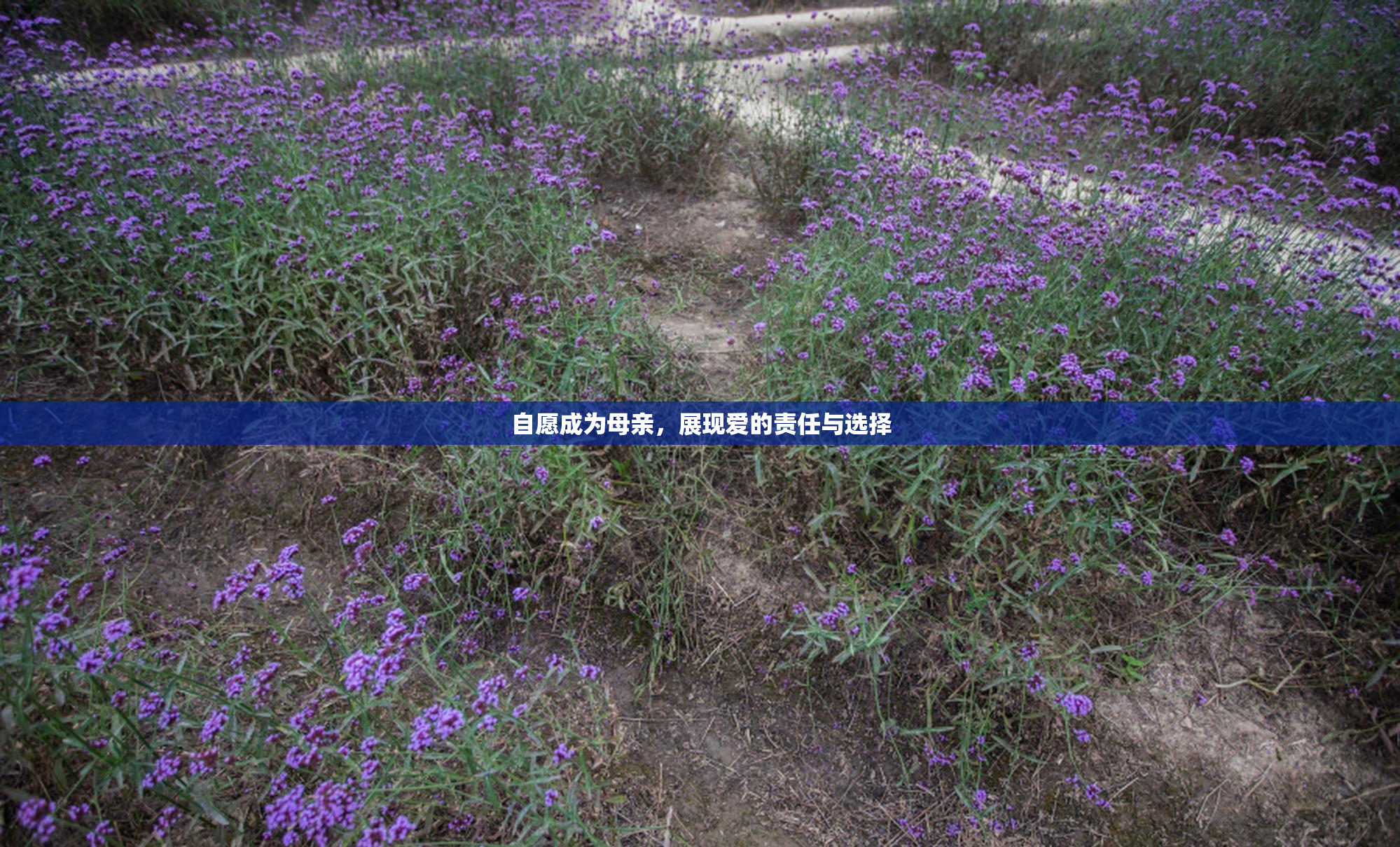 自愿成为母亲，展现爱的责任与选择