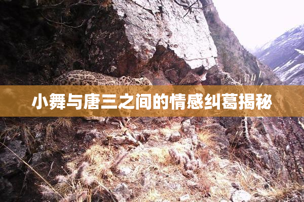 小舞与唐三之间的情感纠葛揭秘